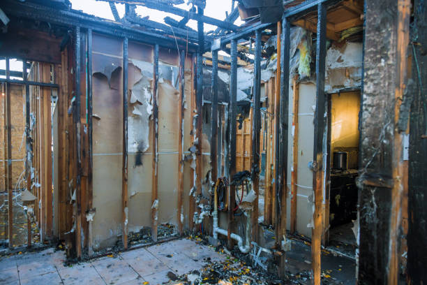 Professional Fire Damage Removal technician working in Bear Valley Springs, CA
